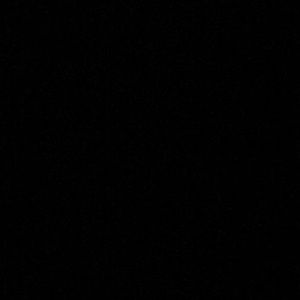 Meet your Posher, Tyson